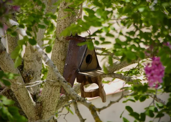 乡村民宿 La Manzana Villafruel